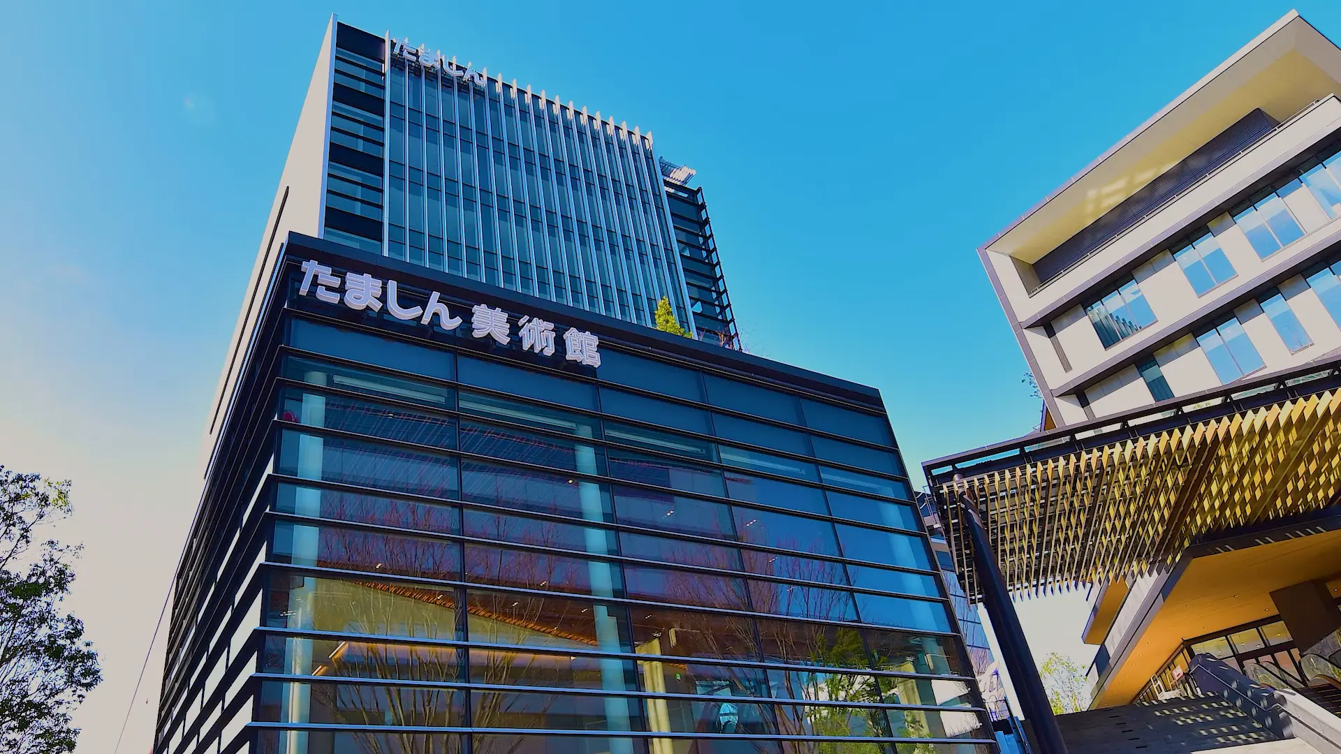ビジネスシーンの背景動画を代替する静止画